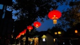 Evening scene with lanterns lighting up a peaceful outdoor fundraiser gathering.
