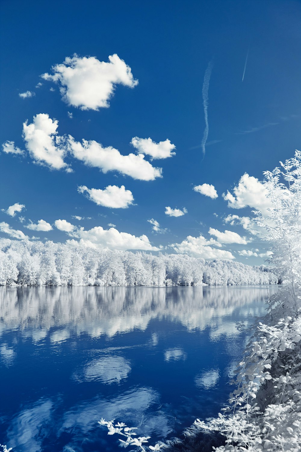 white snow covered trees beside blue body of water under blue sky and white clouds during