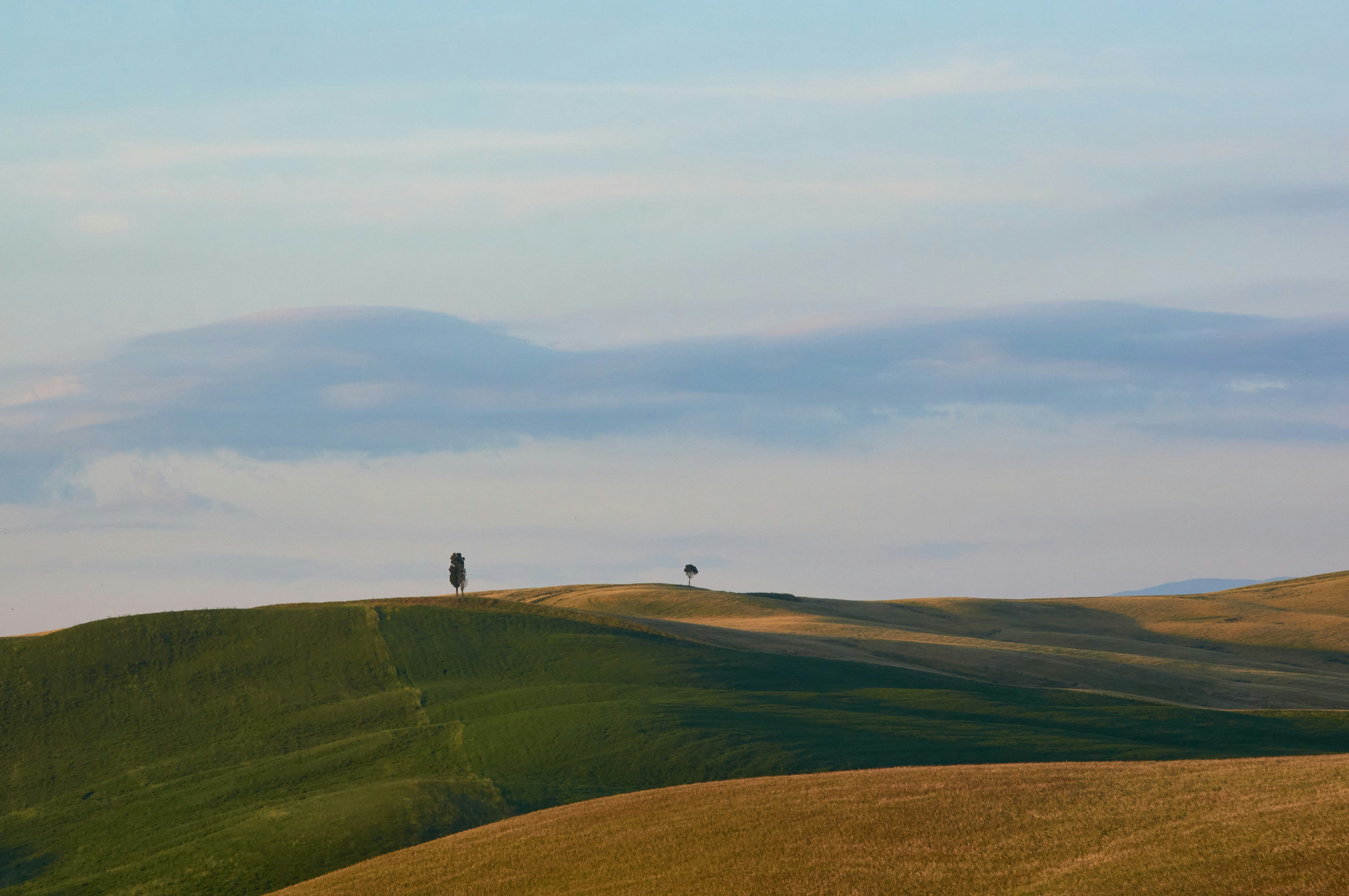 Photo by wolfgang_hasselmann
