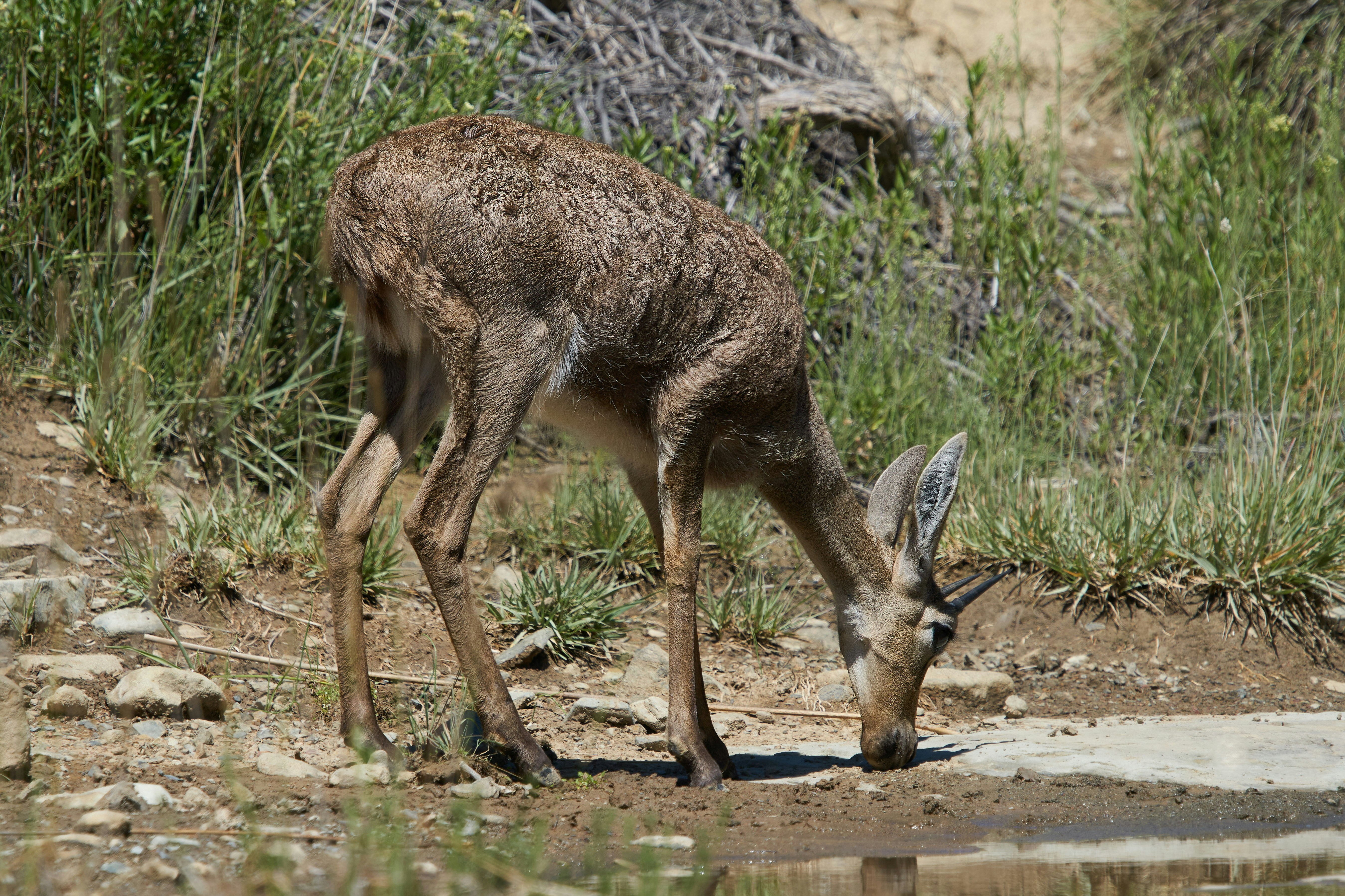 Photo by wolfgang_hasselmann