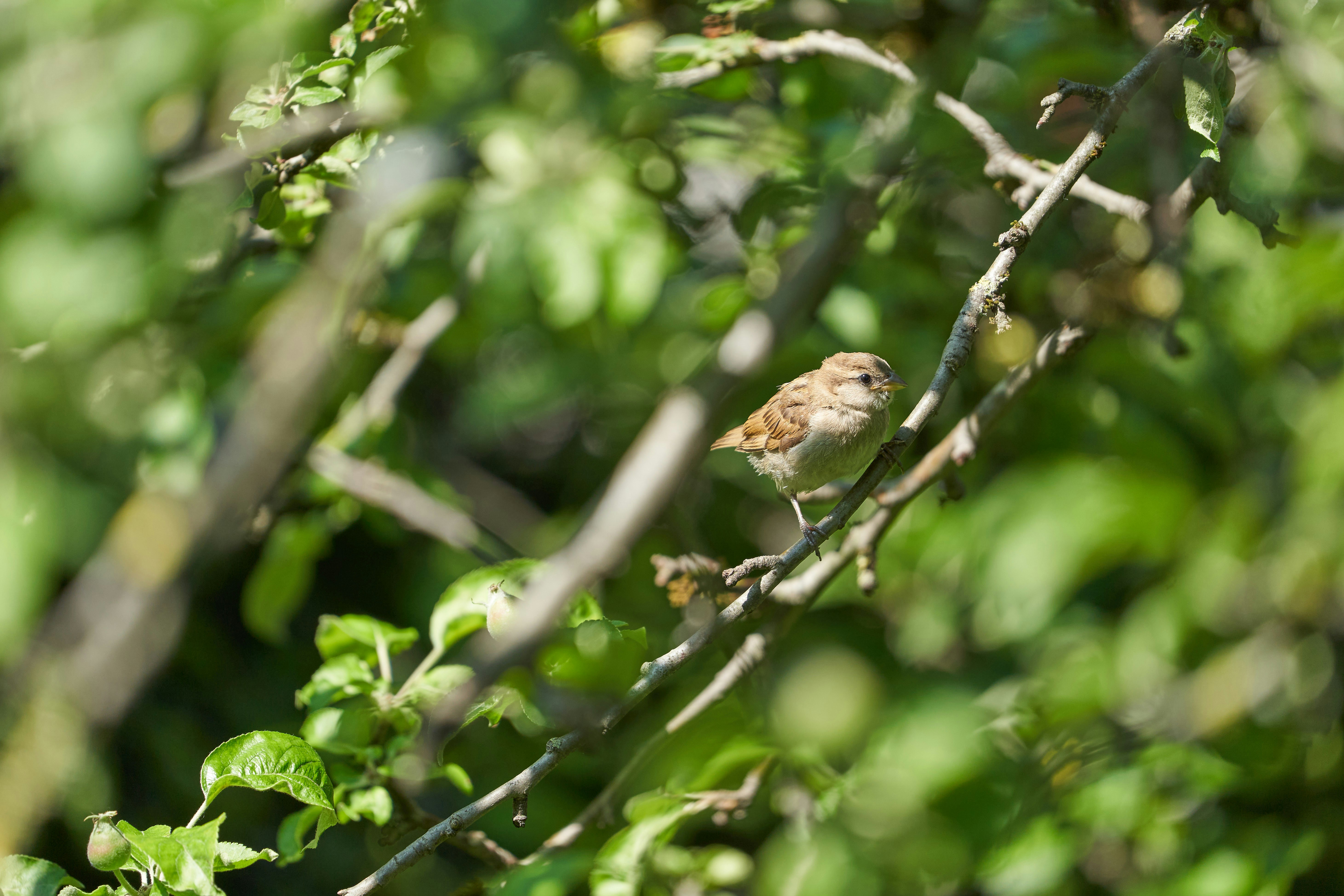 Photo by wolfgang_hasselmann