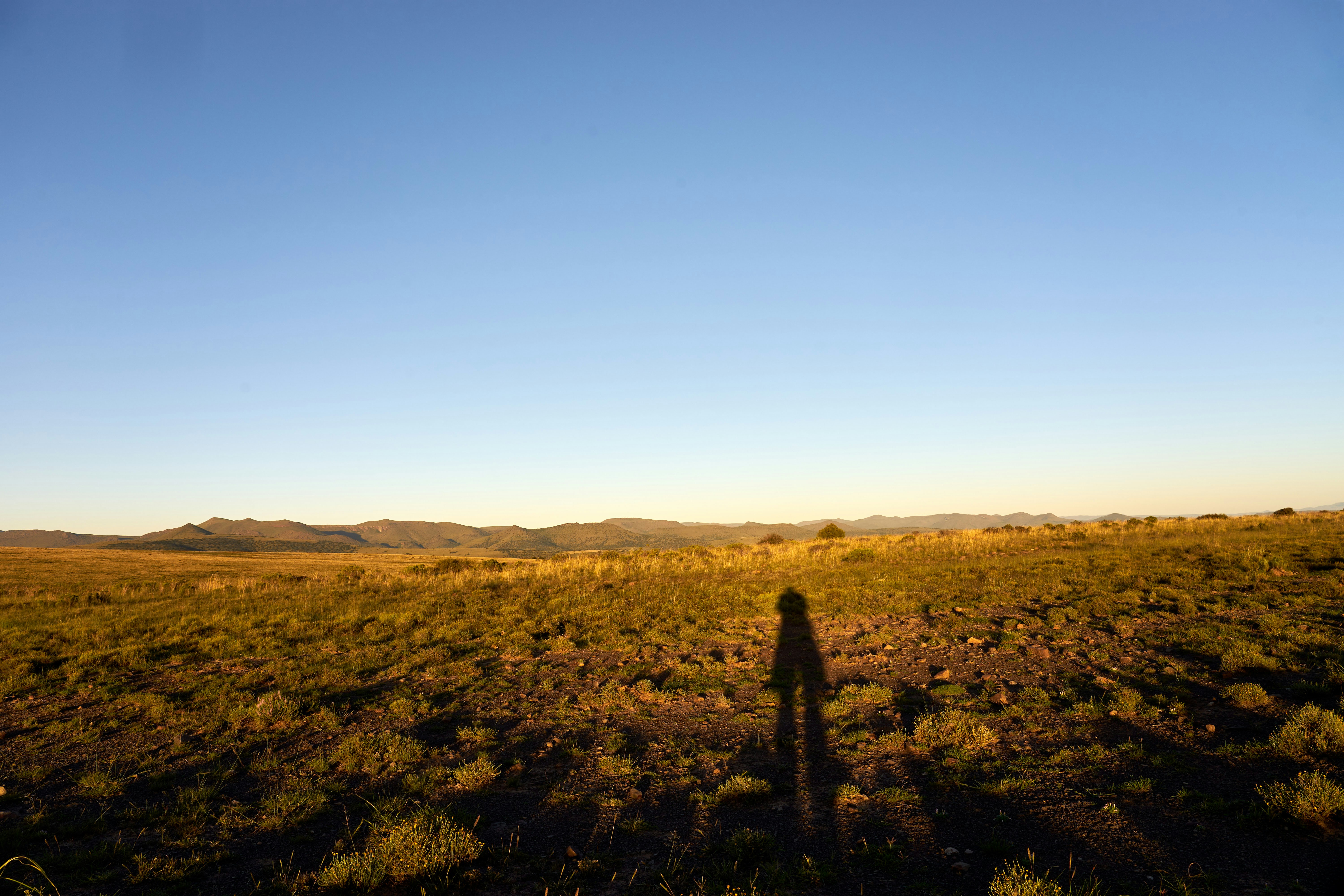 Photo by wolfgang_hasselmann