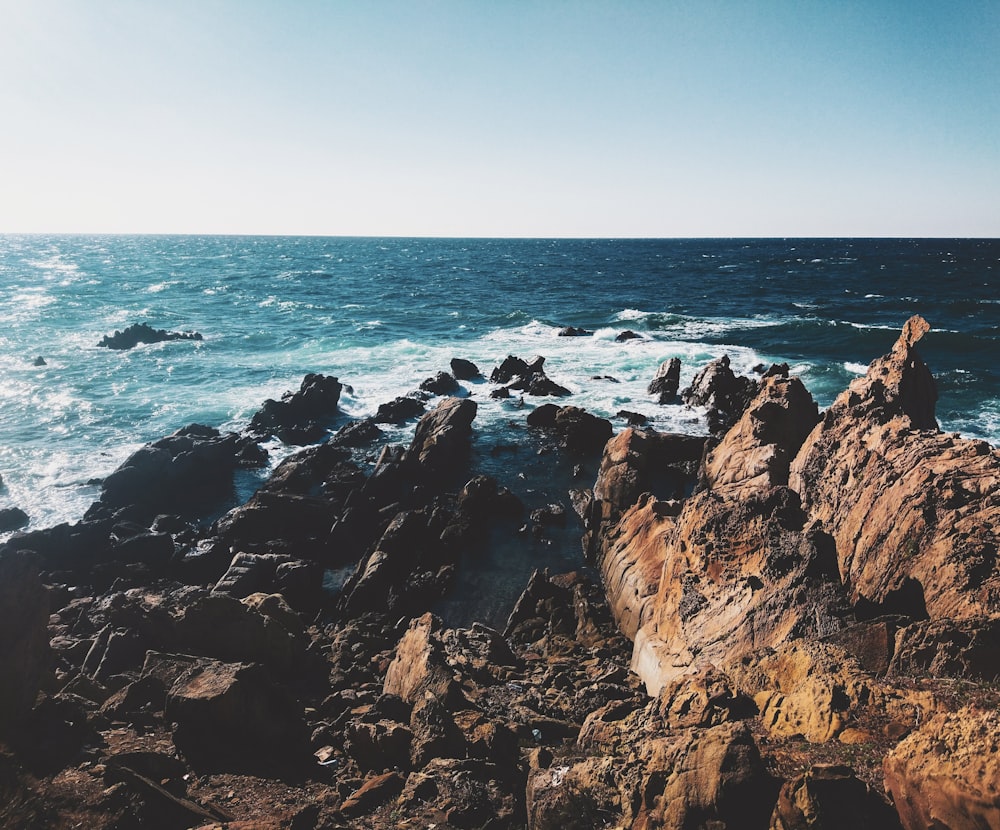 brown rocky shore during daytime