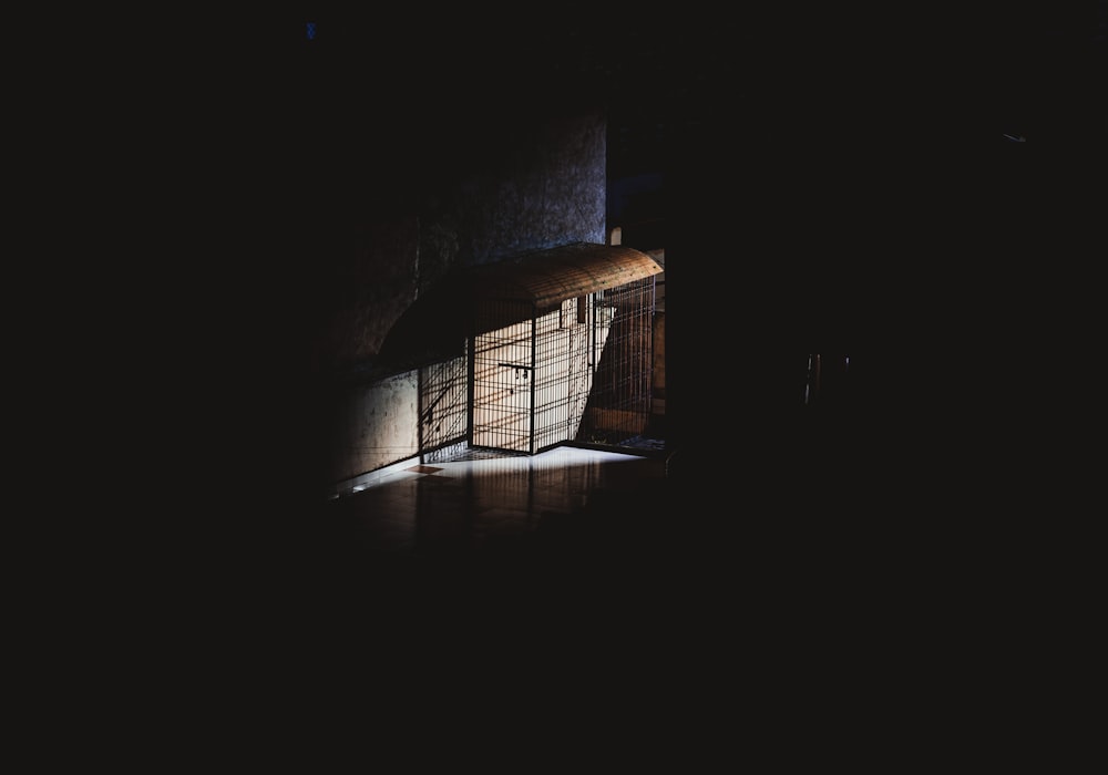 Black metal pet cage in dark room photo – Free Agra Image on Unsplash