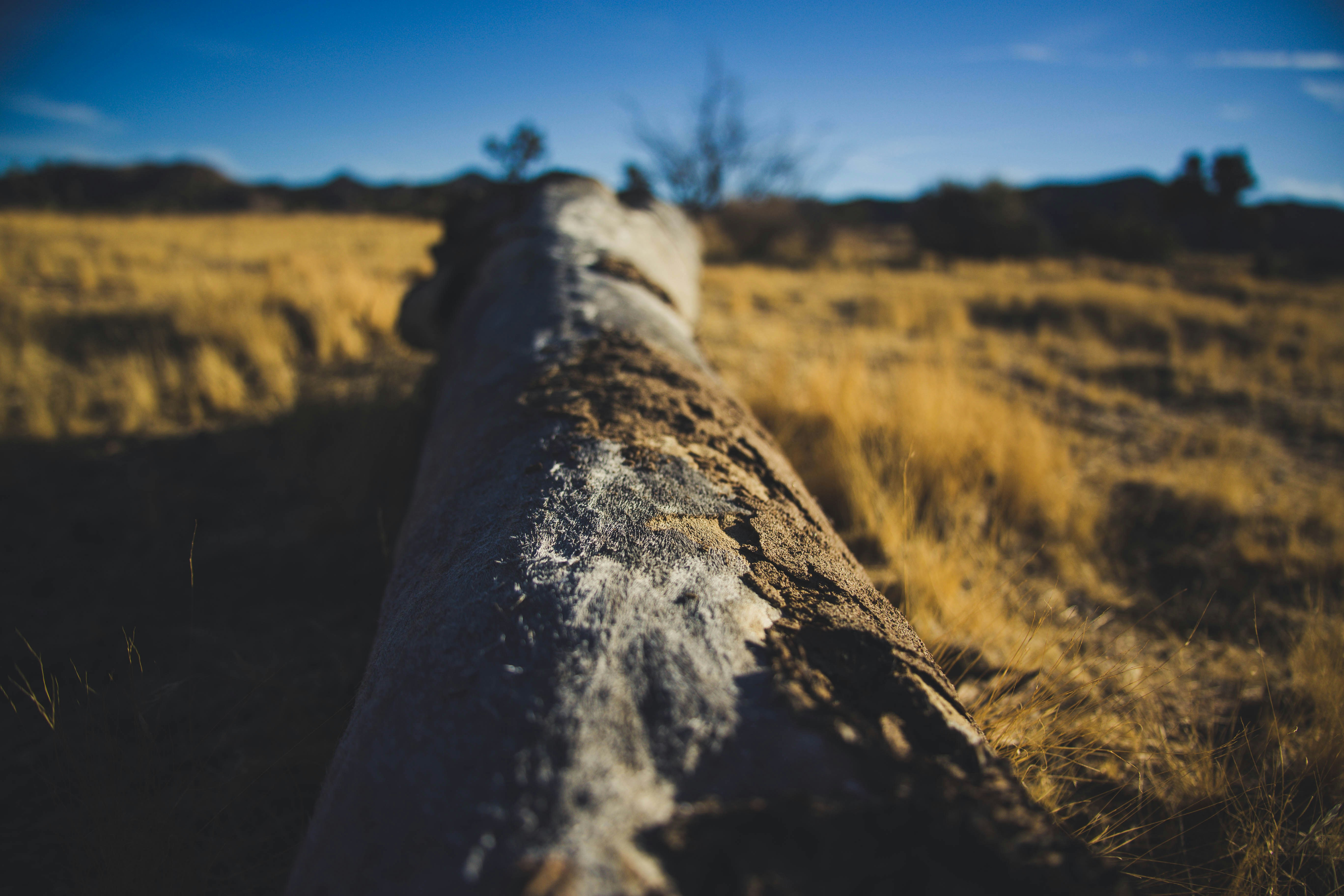 Photo by fortheloveofsmoke