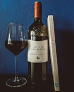 A bottle of Louis de Camponac Cabernet Sauvignon stands next to a filled wine glass, with a book titled 'The Writer's Workbook' propped up beside it, set against a textured blue wall backdrop.