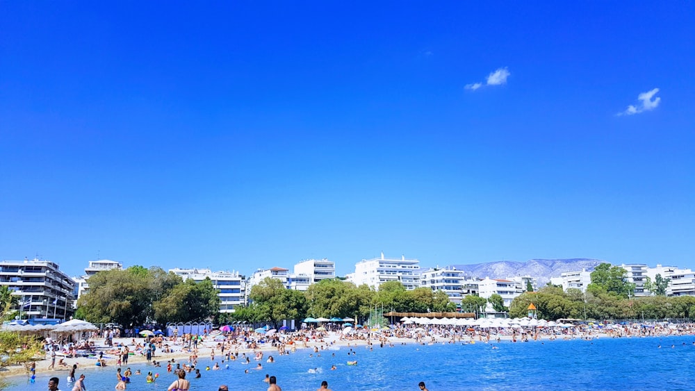 people on beach during daytime