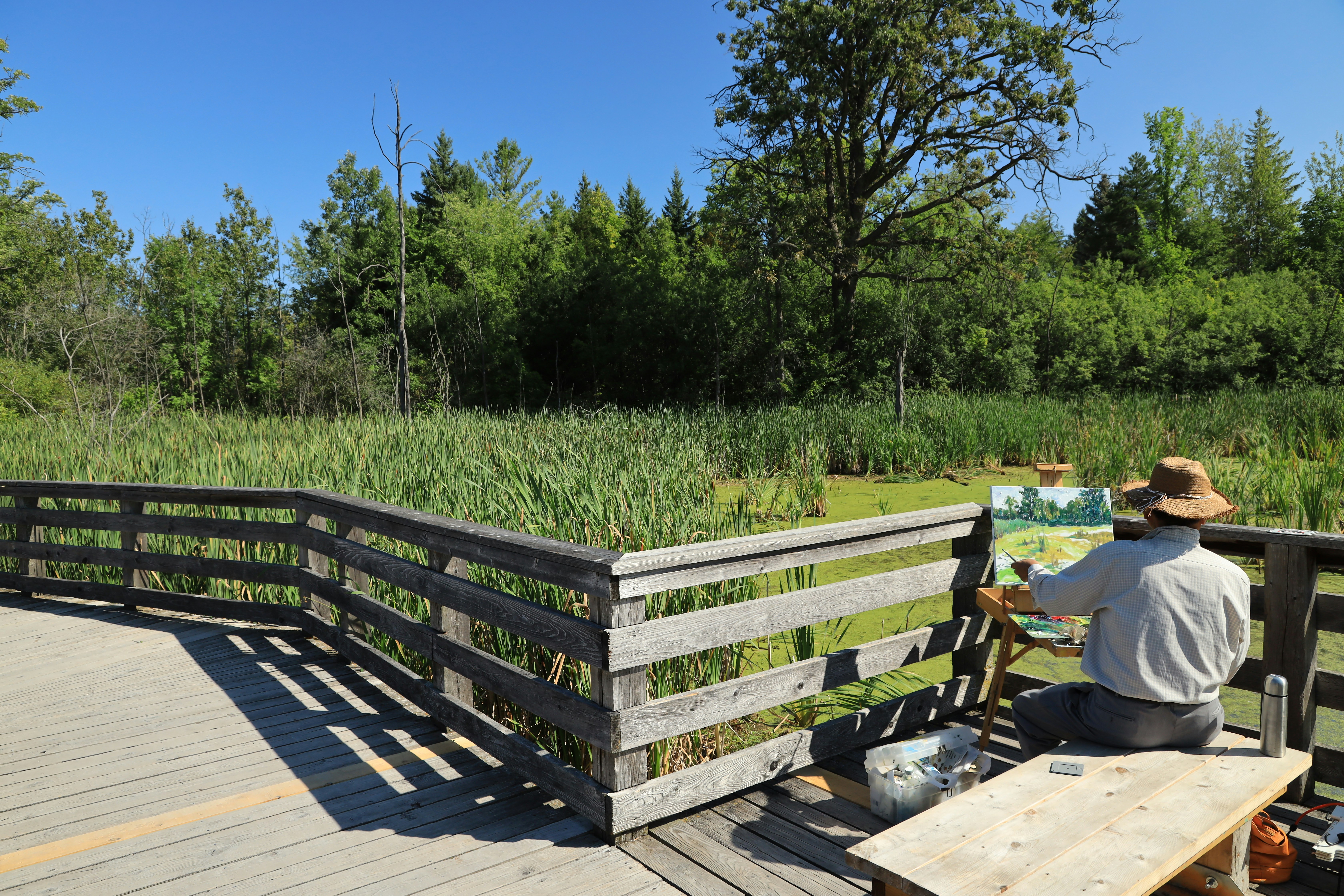 McClure Park