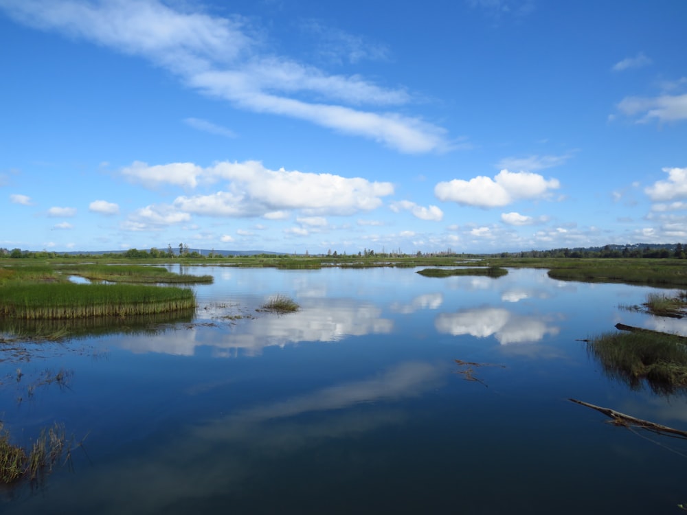 green grass field near body of water under blue sky during daytime