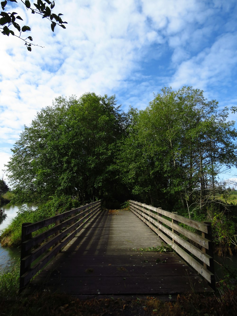 brown wooden bridge over river