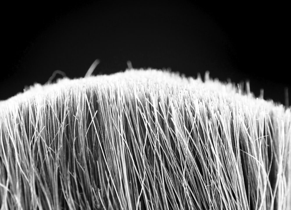 grayscale photo of a white and black textile