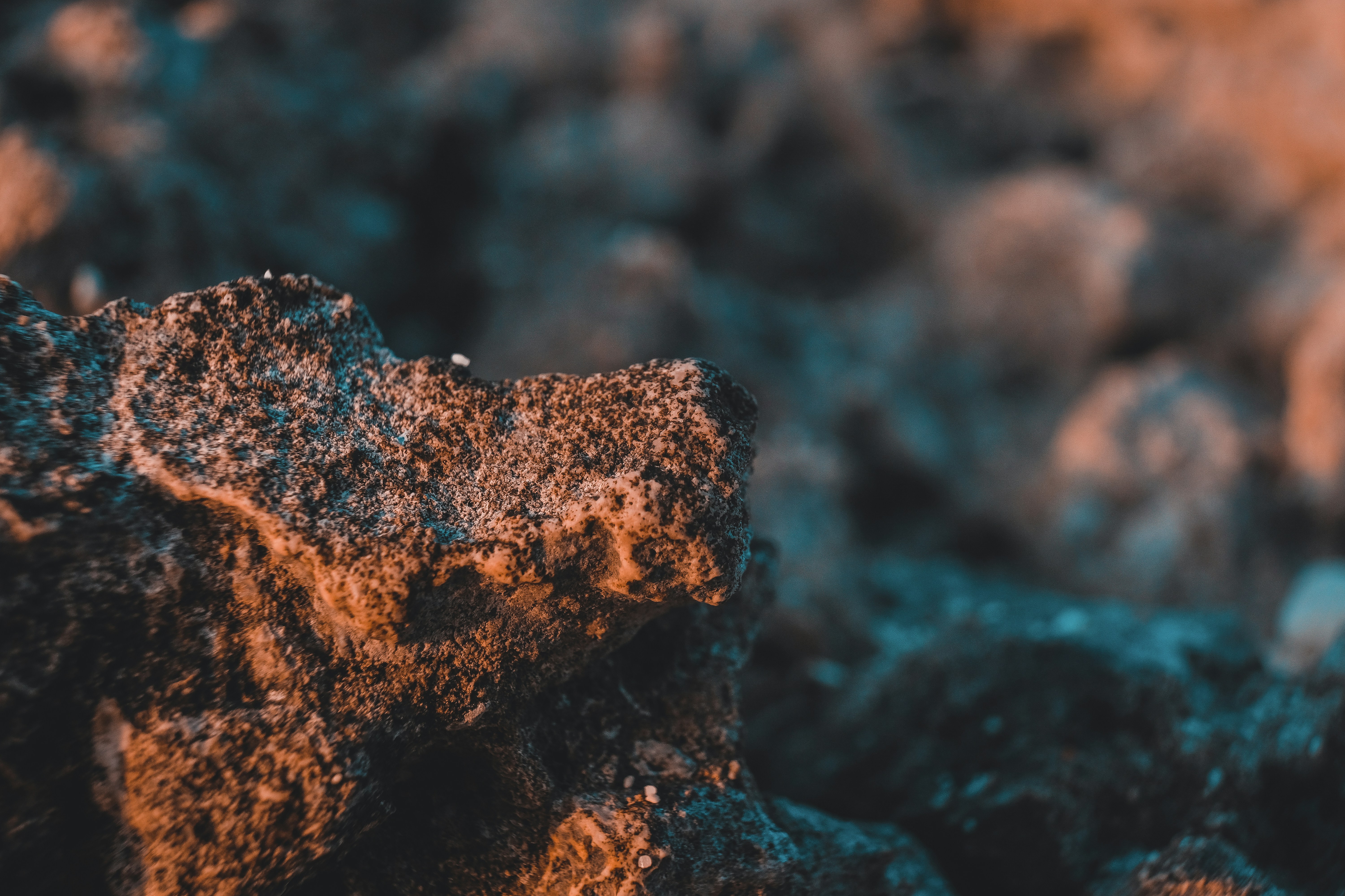 Batu coklat dan hitam dalam fotografi close-up