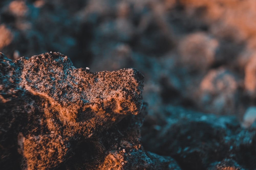 brown and black rock in close up photography