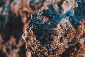 A close-up of textured rock surfaces in natural light.