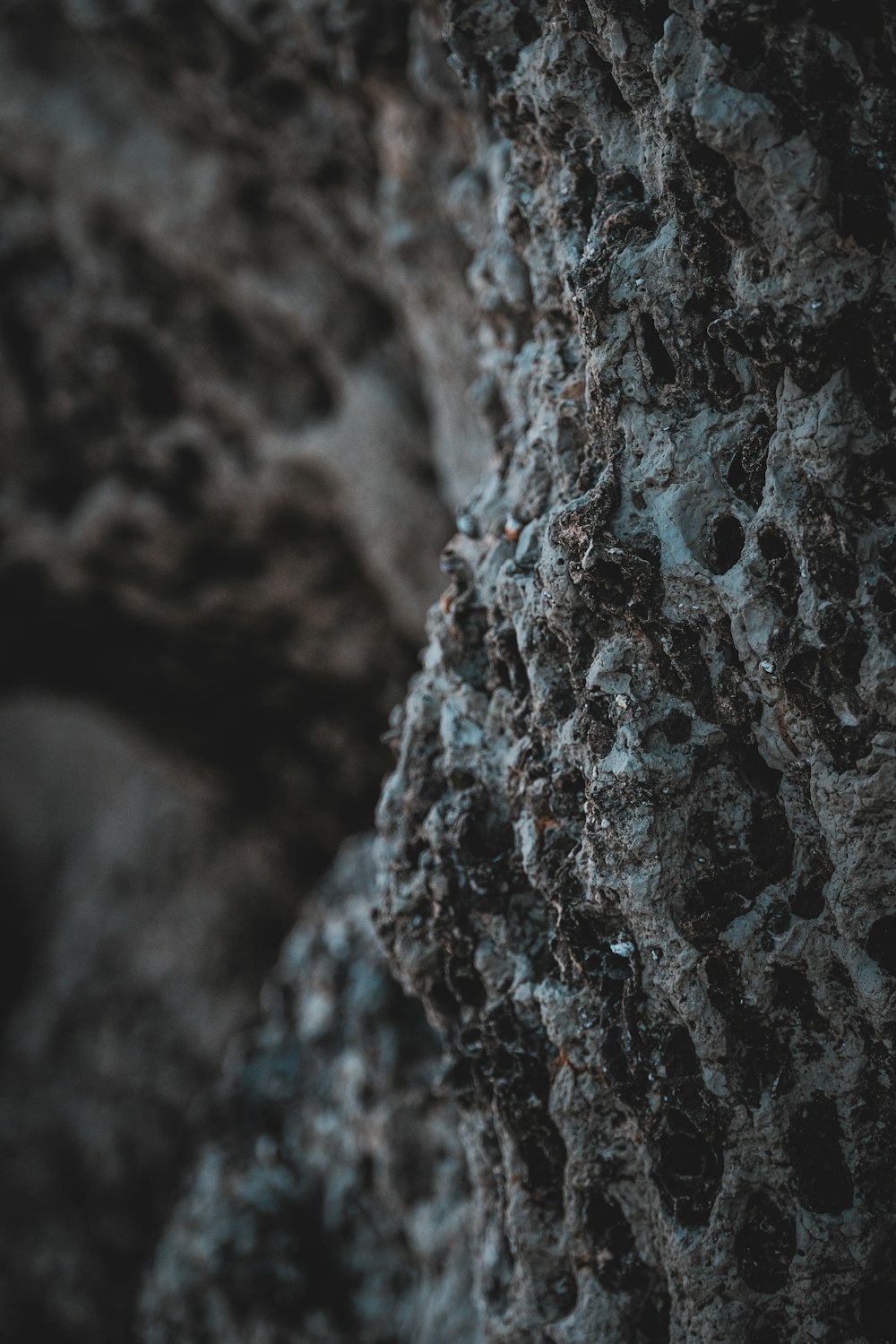 brown and black rock formation