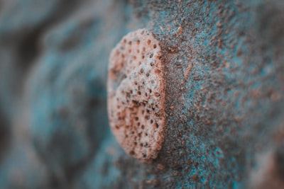 water droplets on brown wooden surface