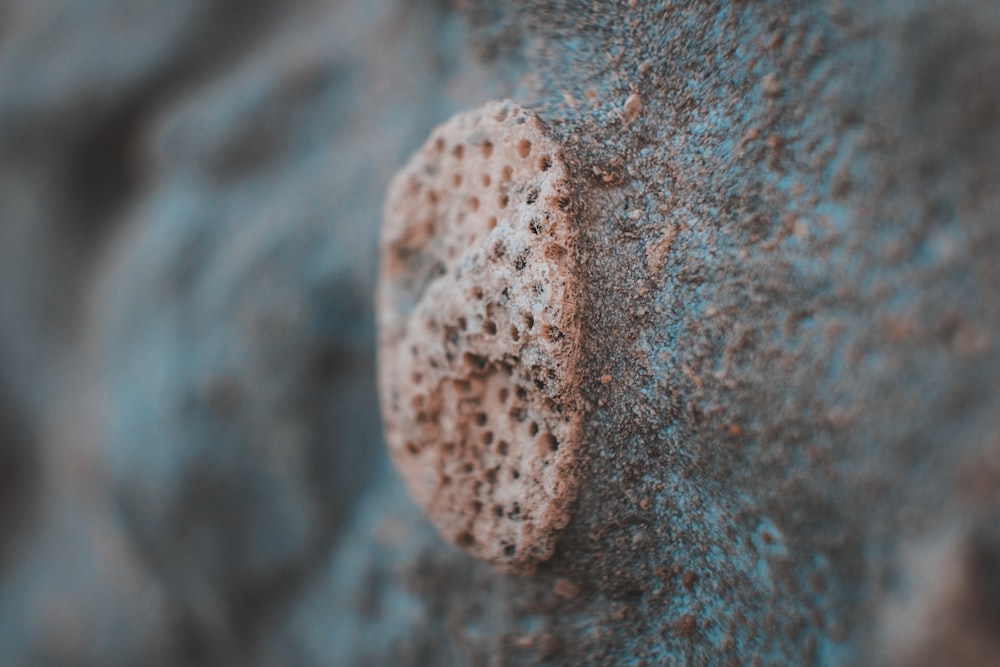 water droplets on brown wooden surface