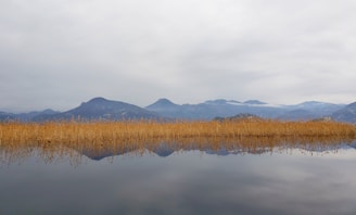 A serene landscape representing wisdom and reflection.