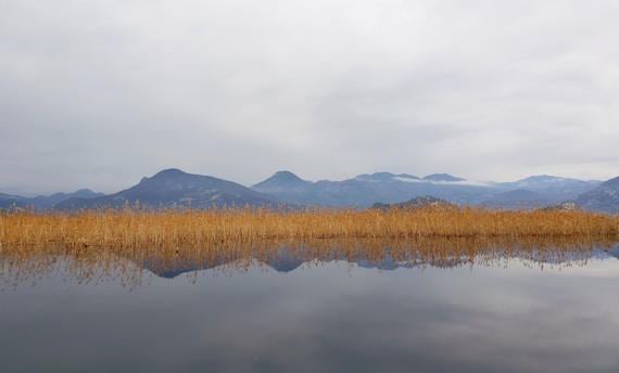 A serene landscape representing wisdom and reflection.