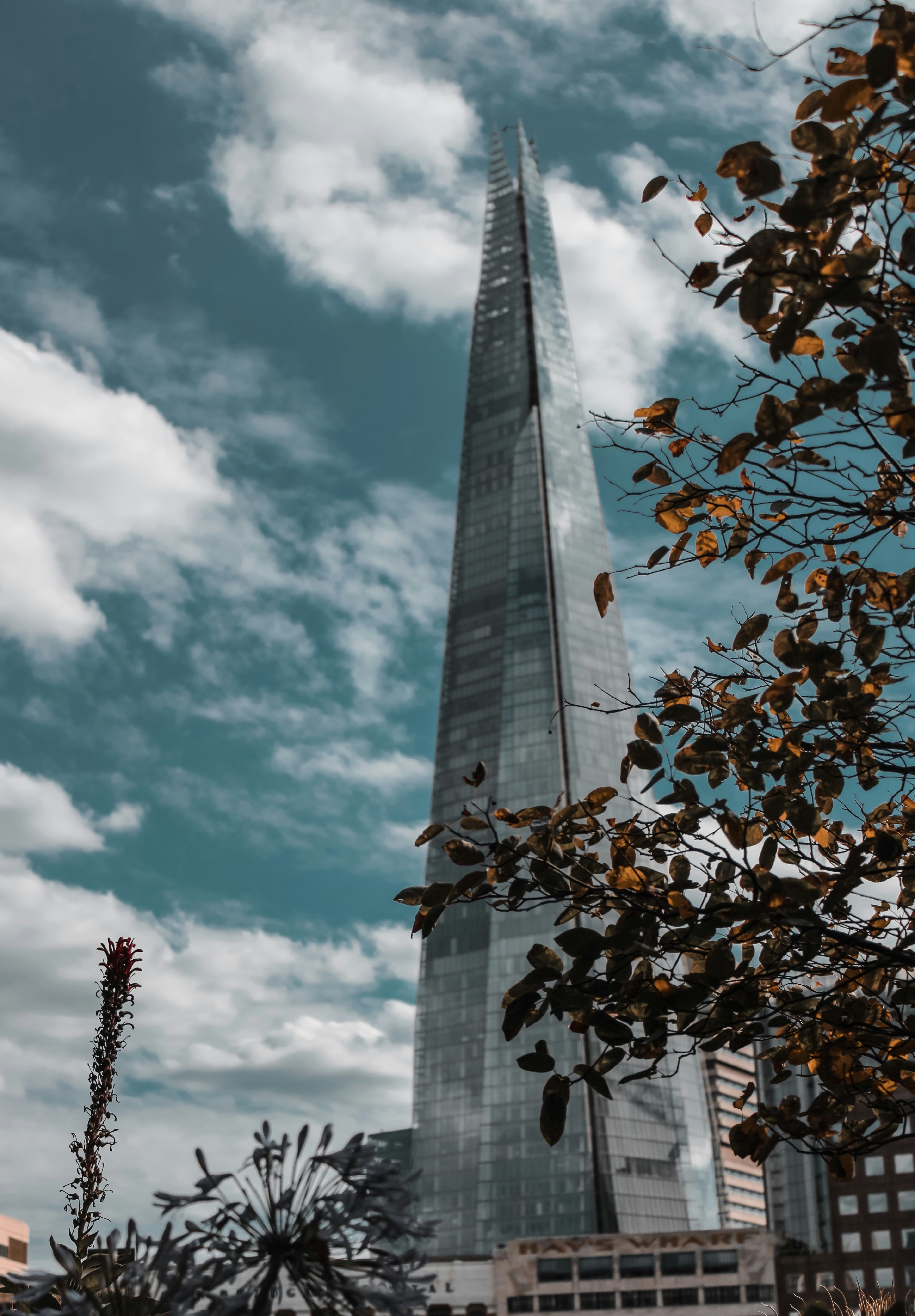 Photo by lenszee