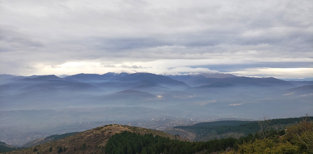 green trees on mountain under white clouds during daytime