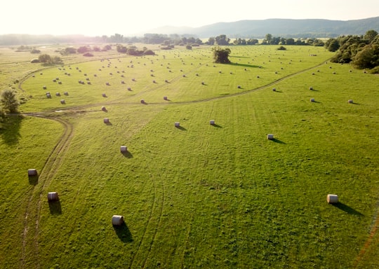 green grass field during daytime in Drégelypalánk Hungary