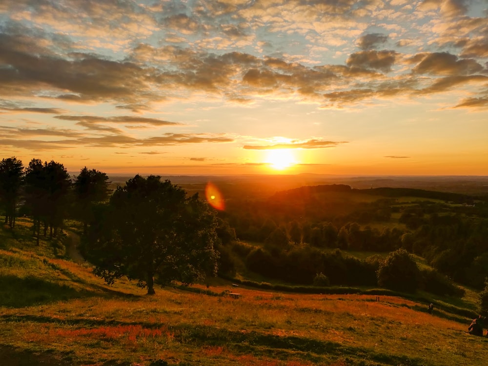 green trees under cloudy sky during sunset