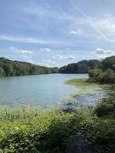 A serene lake being rejuvenated with eco-friendly methods.