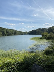 A serene lake with clear water surrounded by lush greenery, symbolizing clean water restoration.