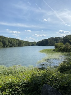 A serene lake being rejuvenated with eco-friendly methods.