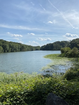 A serene lake with clear water surrounded by lush greenery, symbolizing clean water restoration.