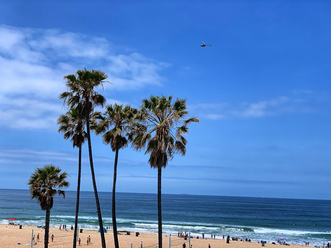 Beach photo spot 1100–1124 The Strand Santa Monica Pier