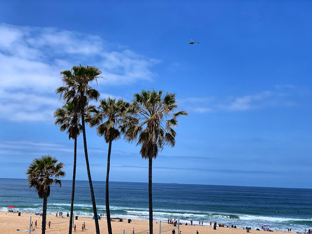 Beach photo spot 1100–1124 The Strand Los Angeles