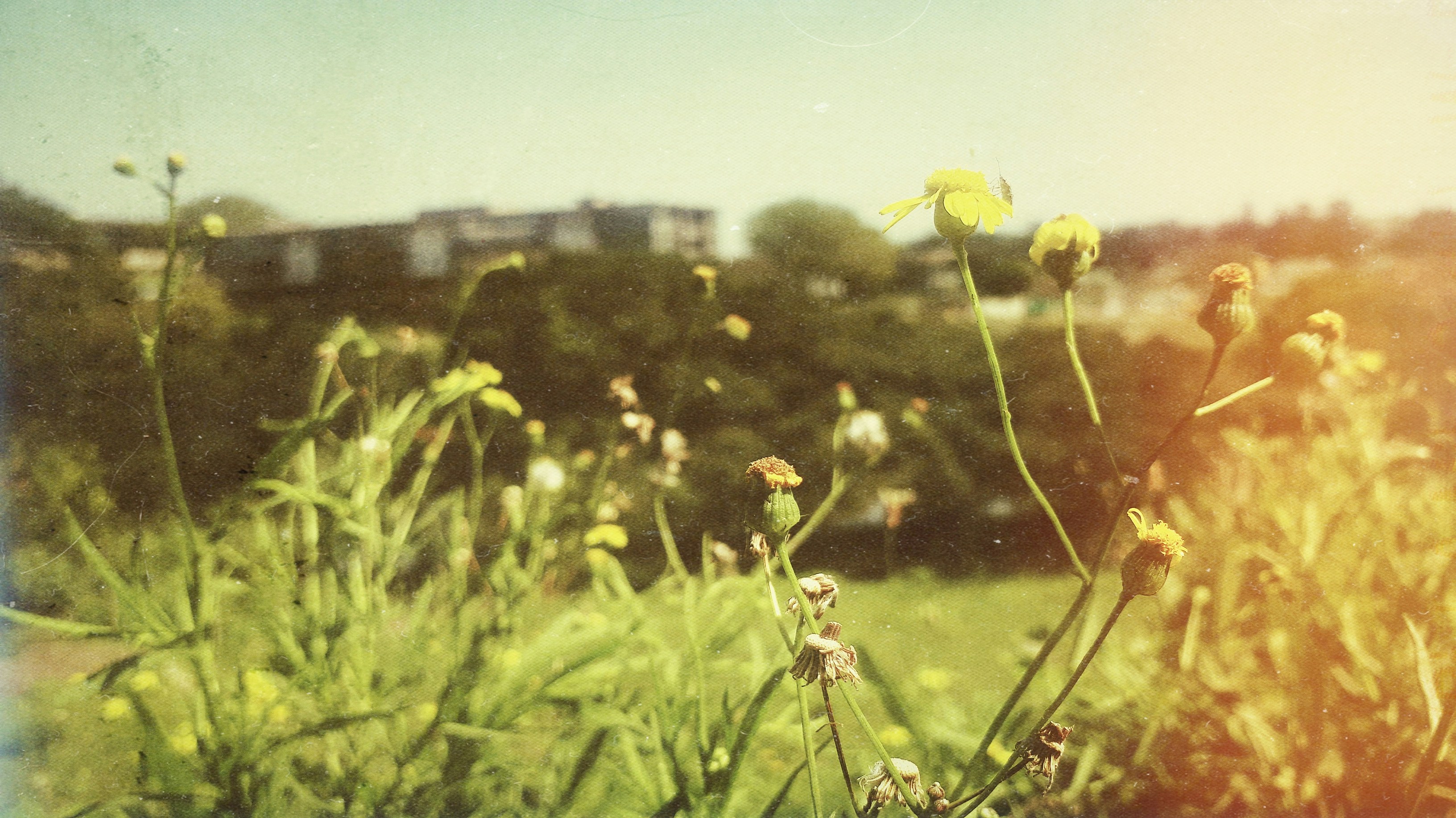 Photo by sle_ppy