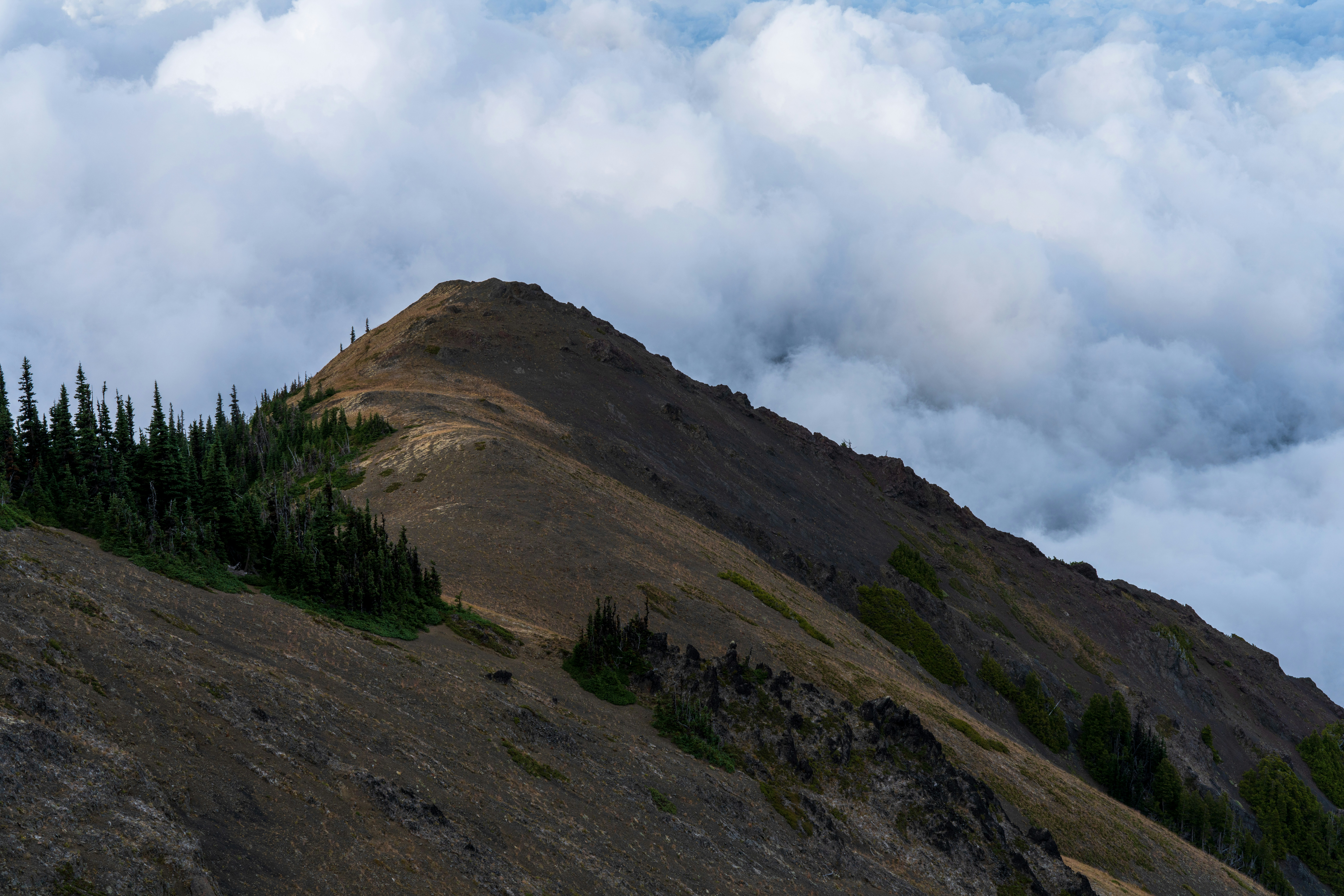 Photo by wanderingcrow