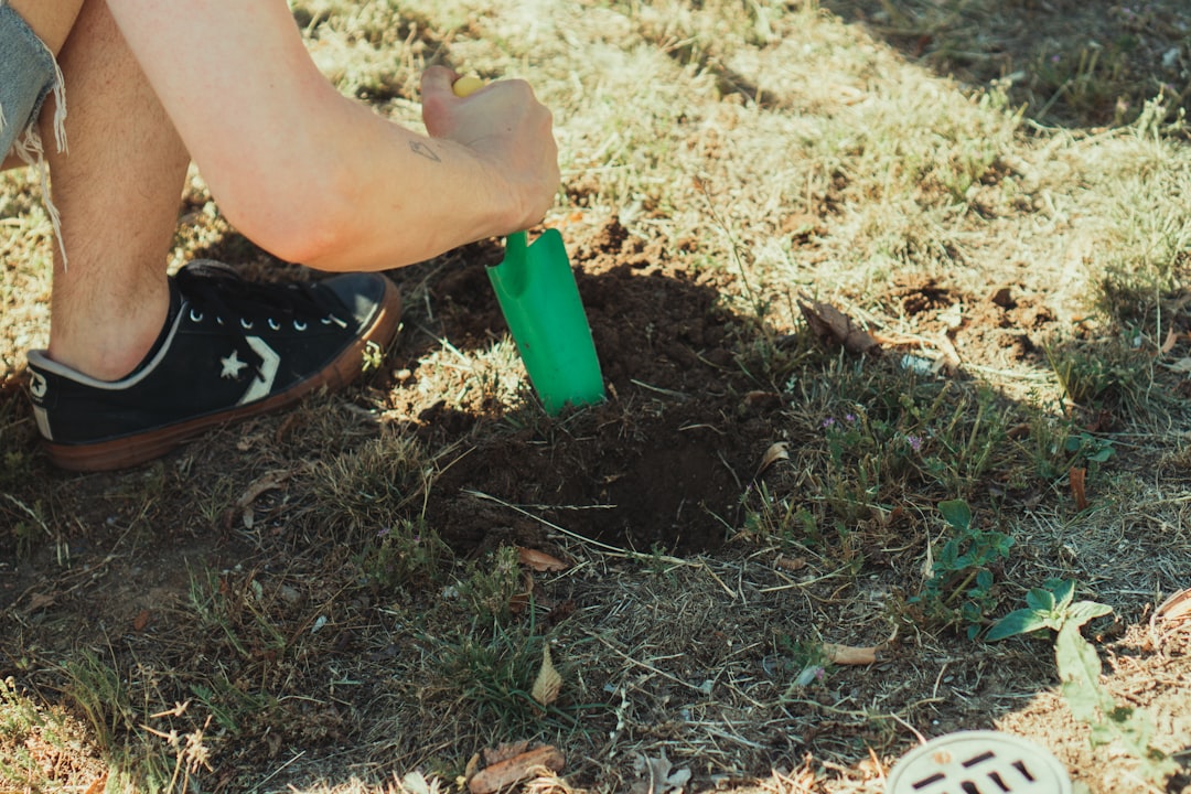 person holding green plastic cup