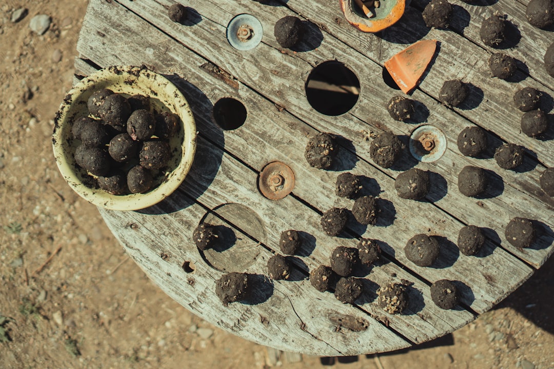 black berries on brown wooden table