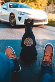 Perro con camisa original y elegante hecha a mano y sentado con su dueño