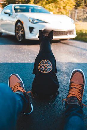 Perro con camisa original y elegante hecha a mano y sentado con su dueño