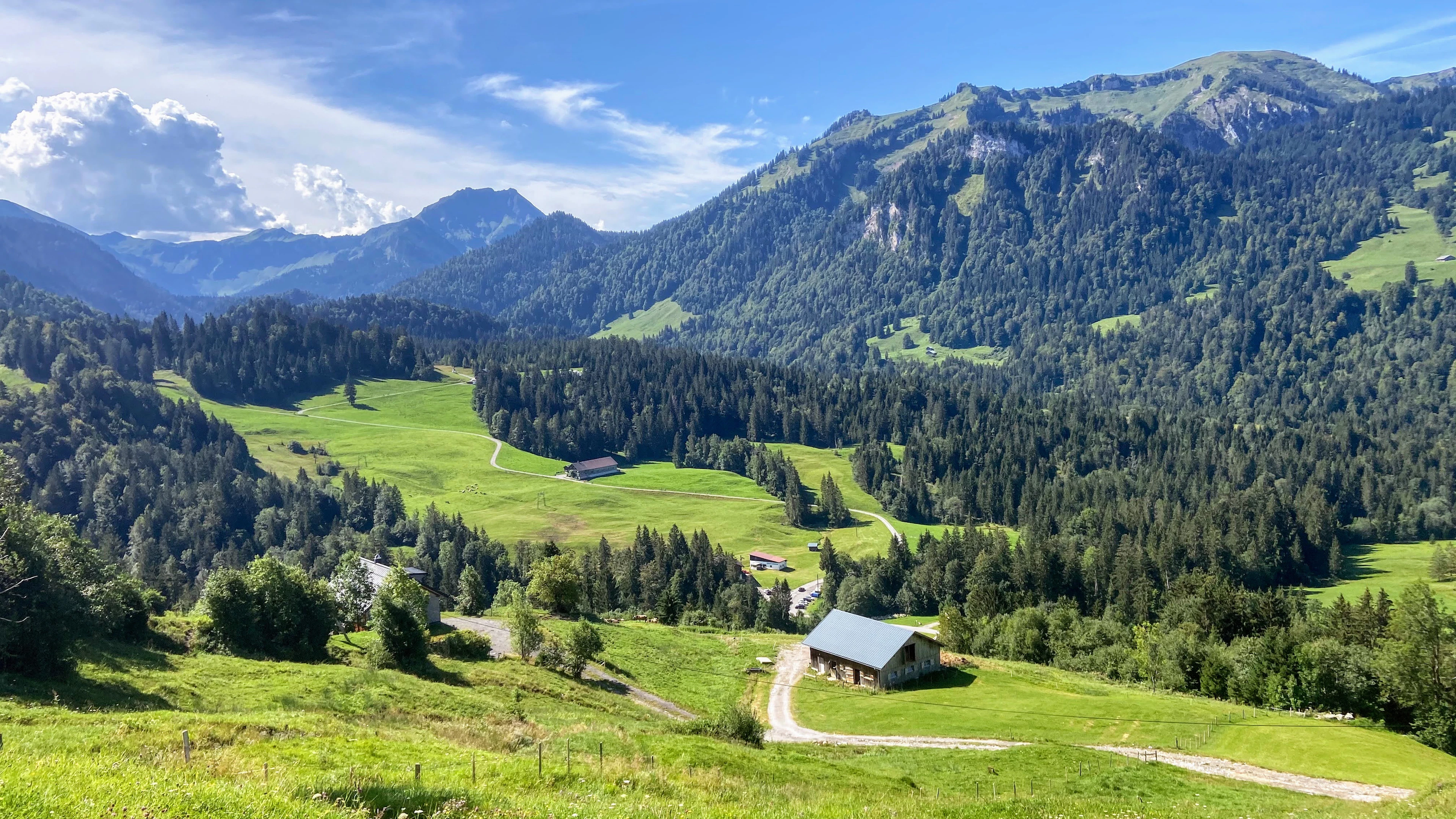Foto aus Allgäu