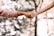 Two individuals are holding hands in a gesture of connection or support. The background features a natural, blurred setting with a soft focus on trees. One arm is adorned with a tattoo.