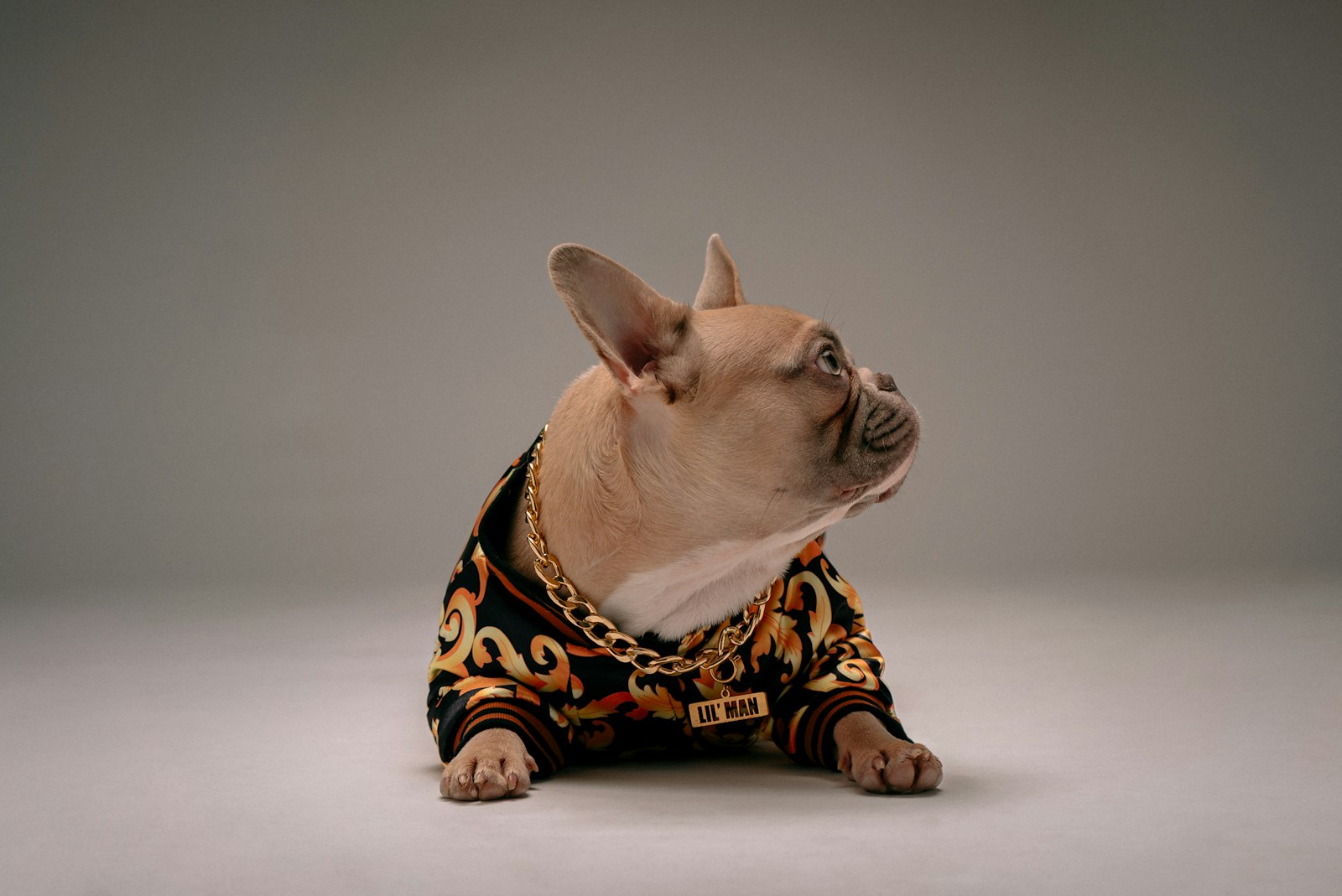 Frozen dog treats homemade