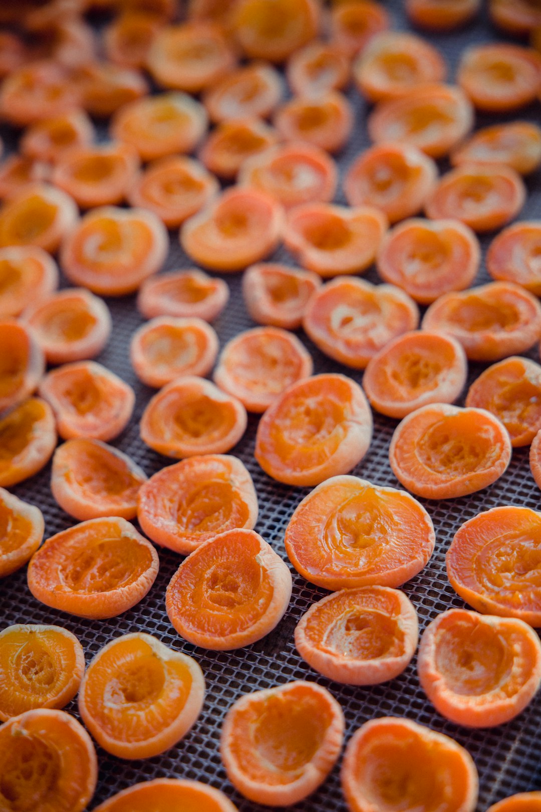 orange fruits on white ceramic plate