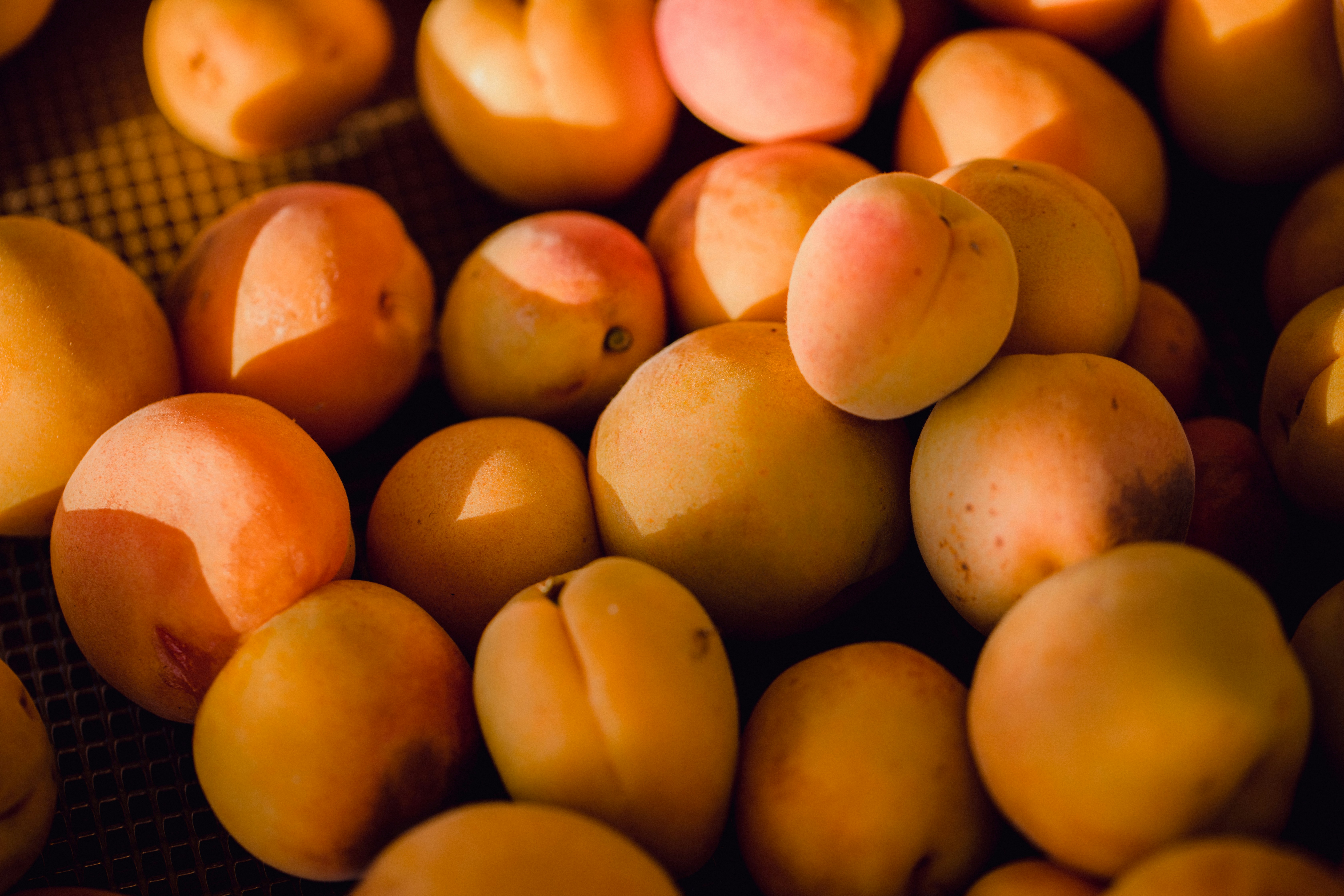 Golden apricots