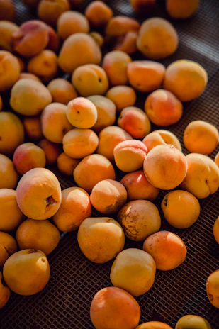 Close-up of golden, plump apricots drying under the warm Pakistani sun.