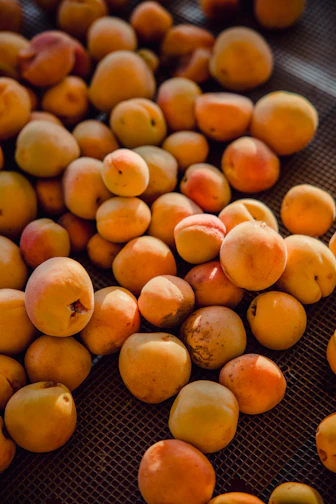 Close-up of golden, plump apricots drying under the warm Pakistani sun.