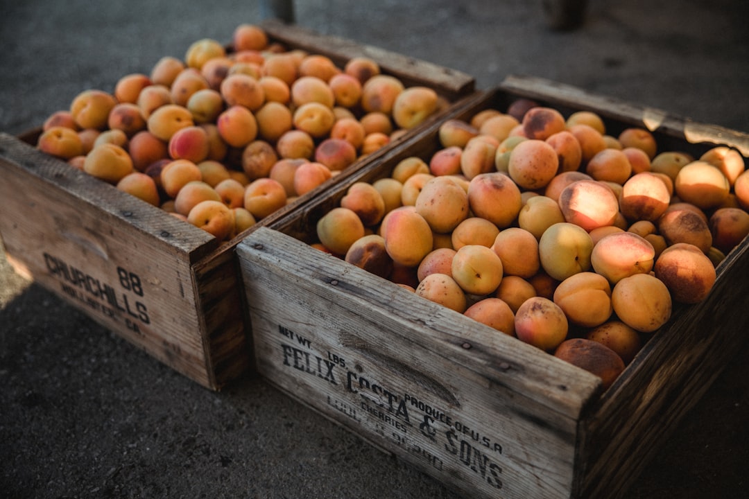 orange fruits on brown wooden crate