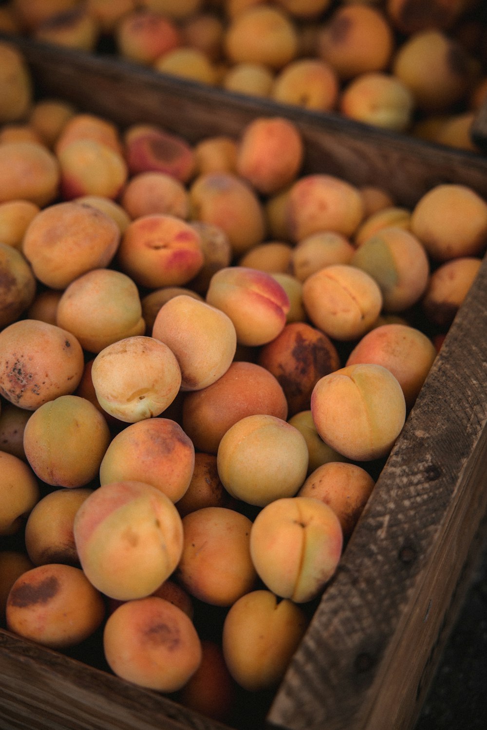 brown round fruits on brown wooden crate