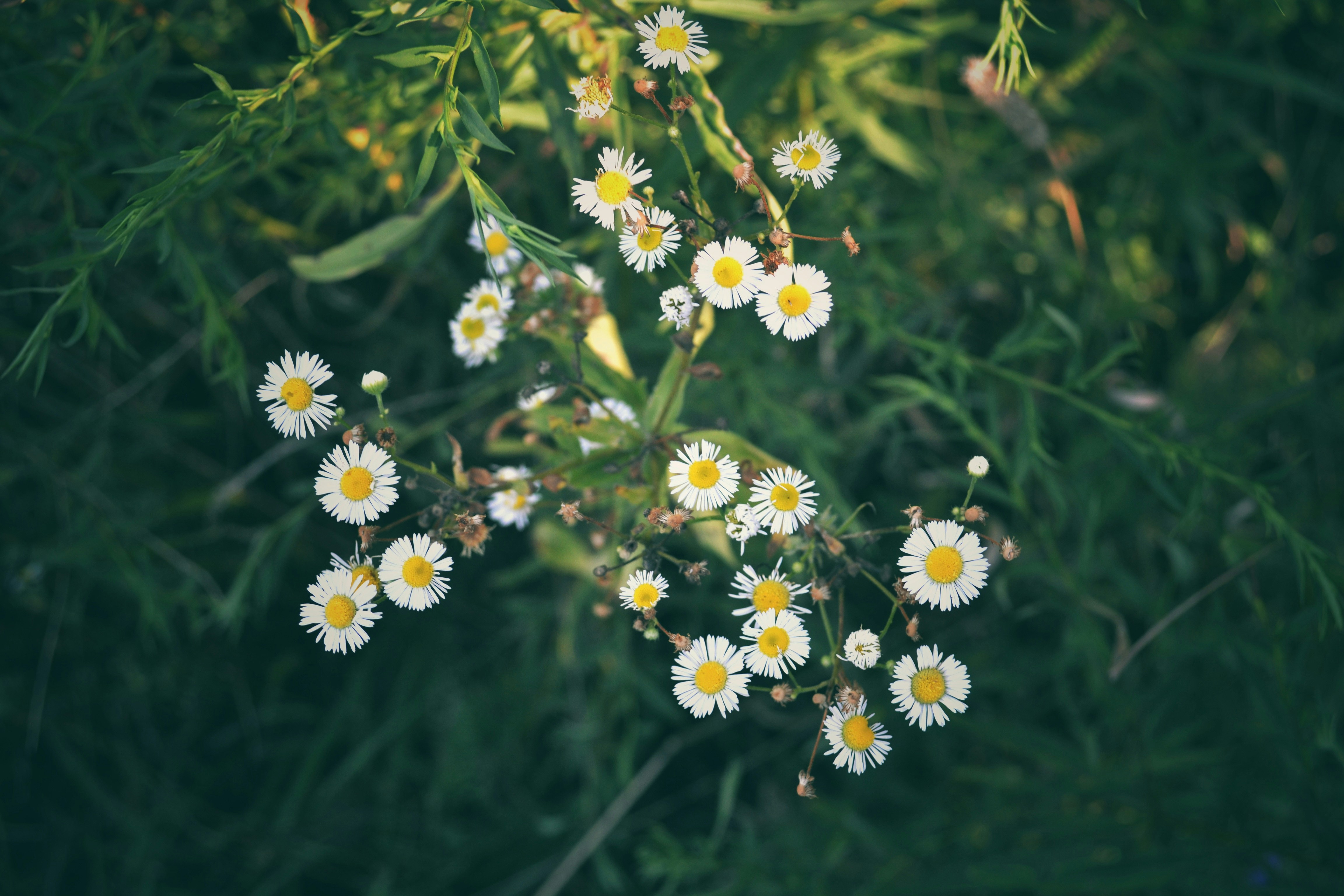 Photo by michealcopley03