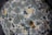 white and blue floral textile
